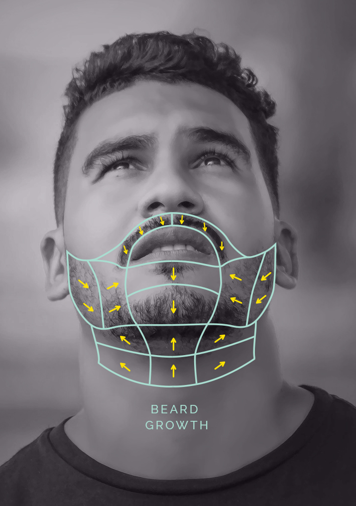 Shaving Direction Chart