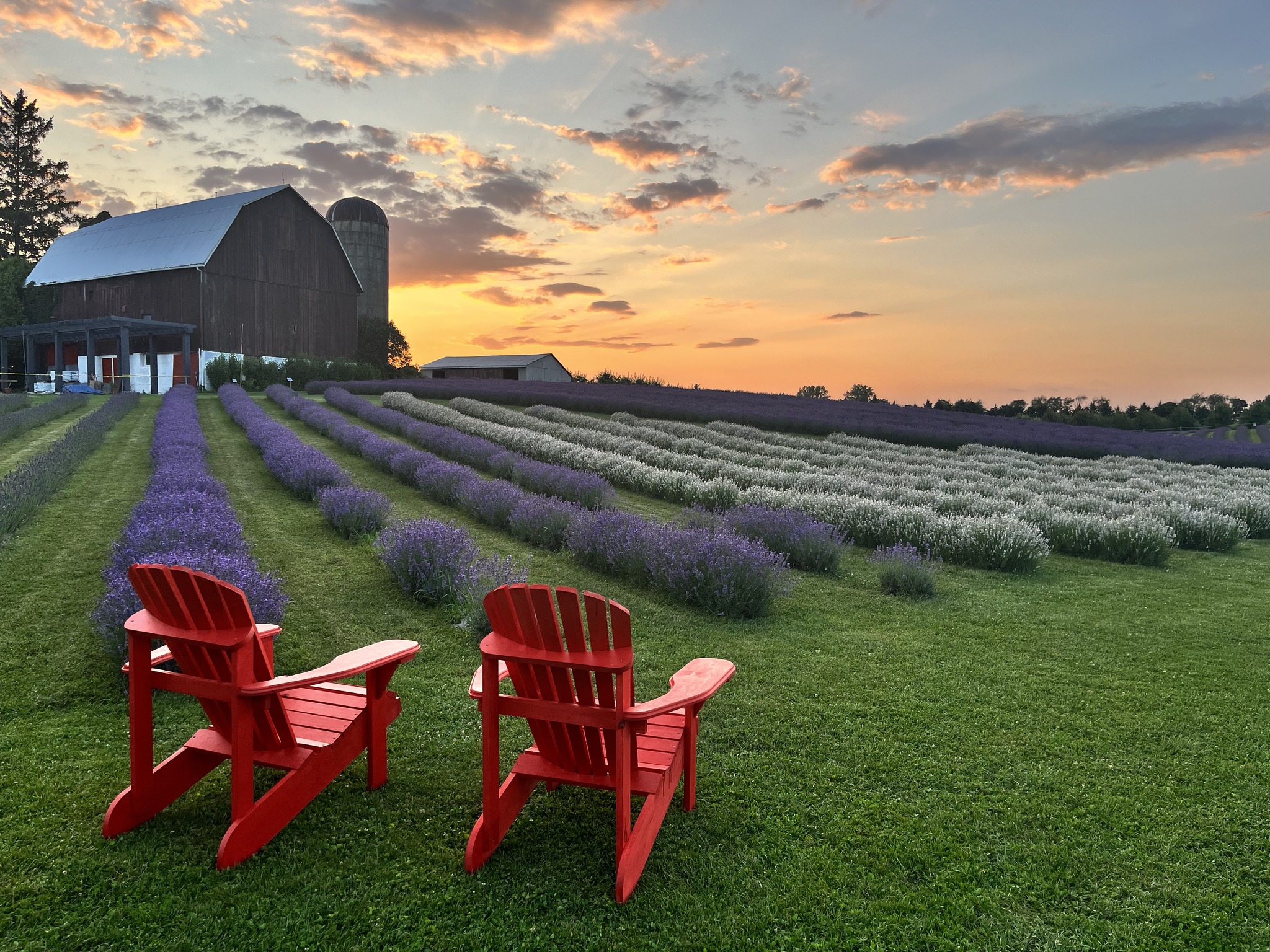 Brand Profile: Apple Hill Lavender