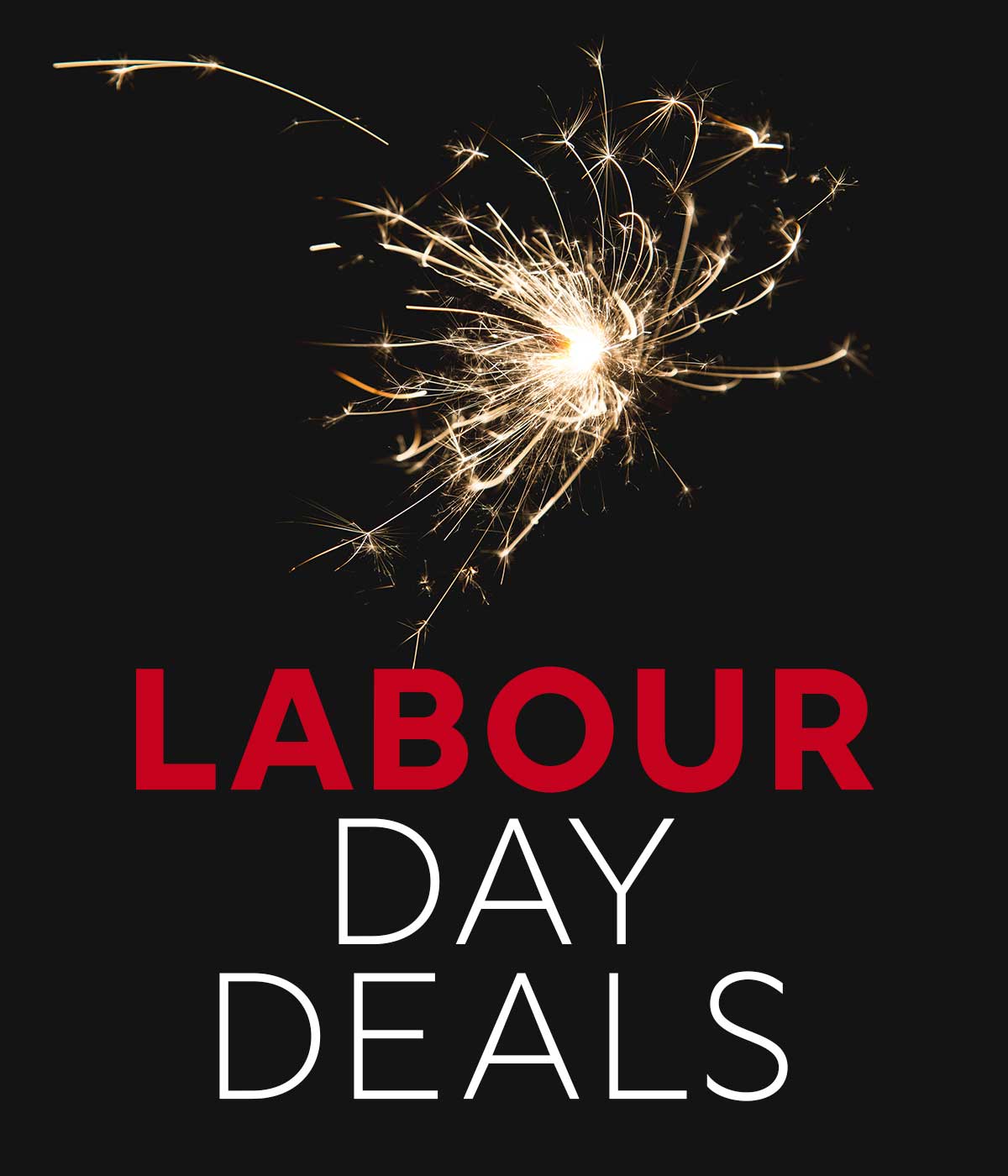 LABOUR DAY SALE