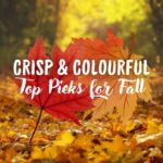 Crisp & Colourful – Fall Recommendations! 🍂