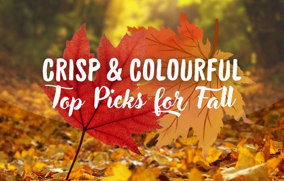 Crisp & Colourful – Fall Recommendations! 🍂