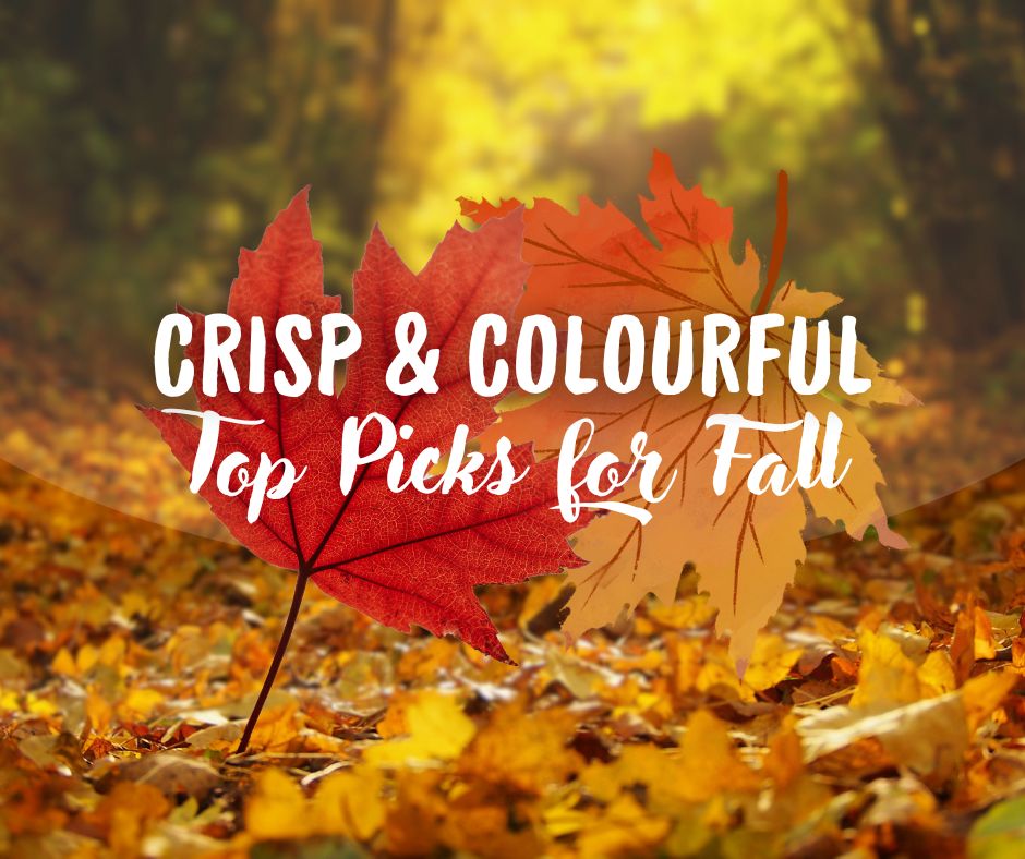 Crisp & Colourful – Fall Recommendations! 🍂